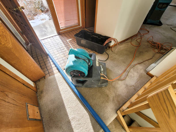 Best Water damage restoration services  in Chesapeake Ranch Estates, MD