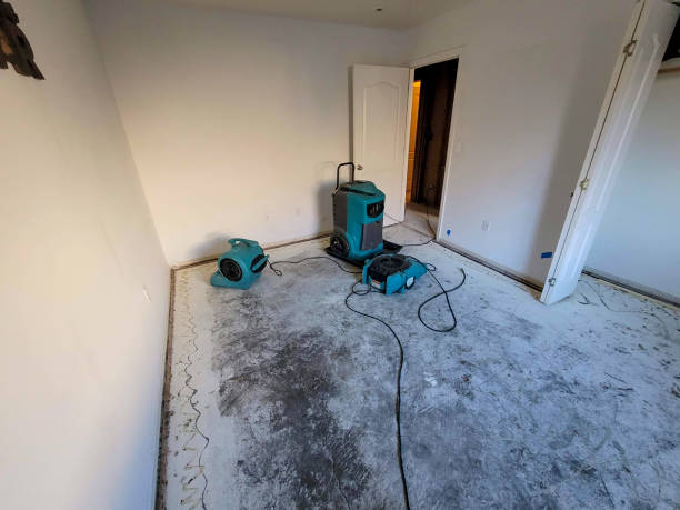Best Flood damage cleanup  in Chesapeake Ranch Estates, MD
