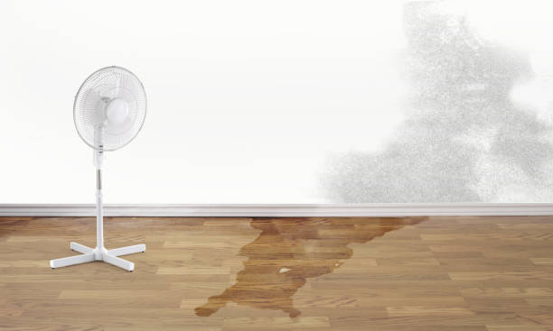 Best Water damage repair service  in Chesapeake Ranch Estates, MD