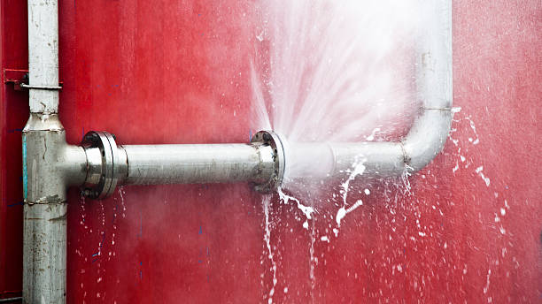 Best Professional water damage repair  in Chesapeake Ranch Estates, MD