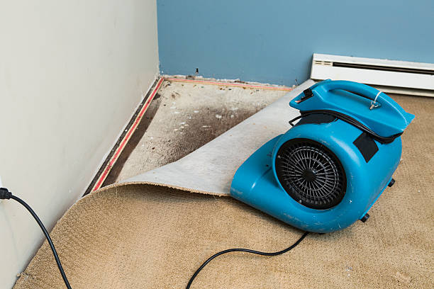24/7 water damage repair in MD